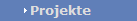 Projekte