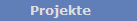 Projekte
